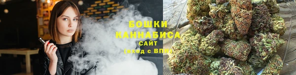 шишки Белокуриха