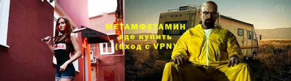 шишки Белокуриха