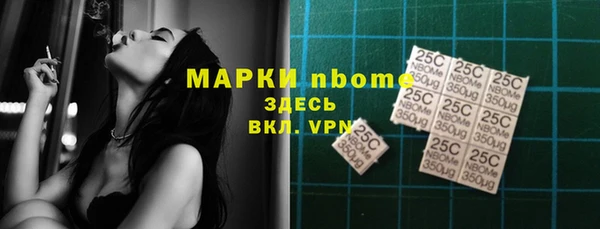 шишки Белокуриха