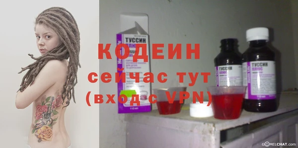 шишки Белокуриха