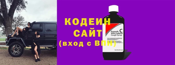 шишки Белокуриха