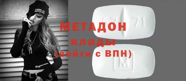 шишки Белокуриха