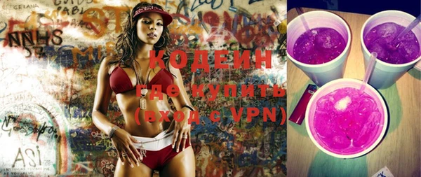 шишки Белокуриха