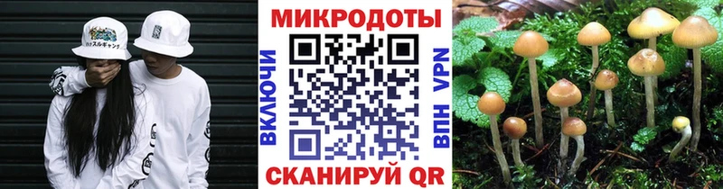 Галлюциногенные грибы MAGIC MUSHROOMS  МЕГА как войти  Томари  даркнет сайт 