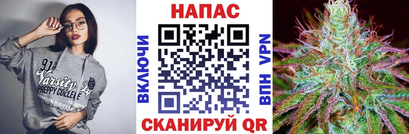Конопля Ganja  Томари 